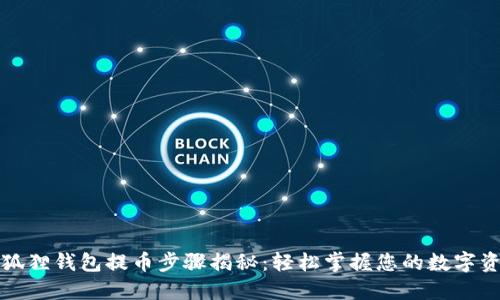 小狐狸钱包提币步骤揭秘:轻松掌握您的数字资产