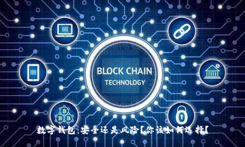 数字钱包:安全还是风险?你该如何选择?