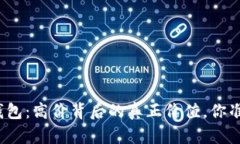 数字加密钱包：高价背后的真正价值，你准备好