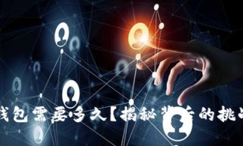 开发一个冷钱包需要多久？揭秘背后的挑战与时间成本