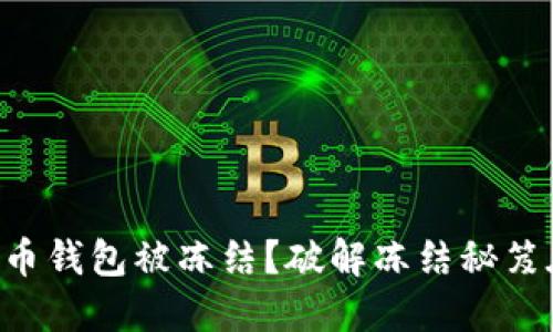 虚拟币钱包被冻结?破解冻结秘笈在此!