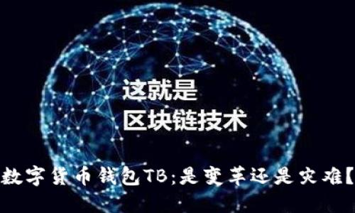 数字货币钱包TB:是变革还是灾难?