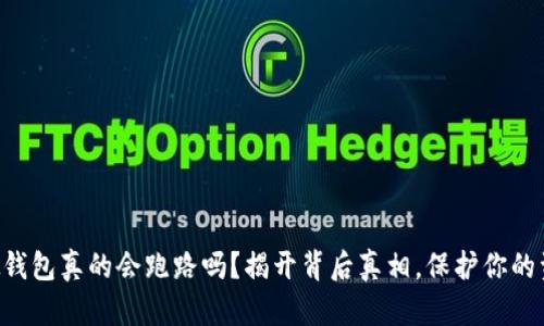 虚拟钱包真的会跑路吗？揭开背后真相，保护你的资产！