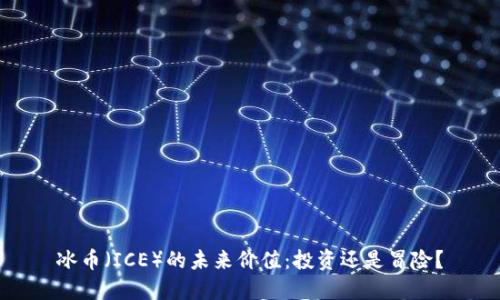 冰币（ICE）的未来价值：投资还是冒险？