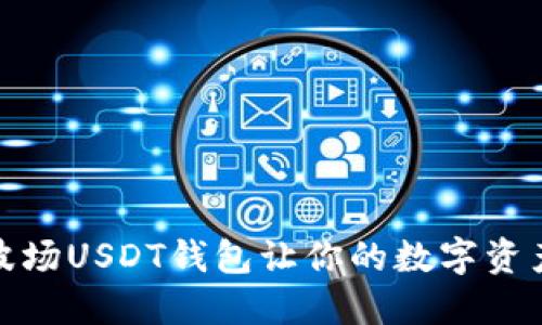 挑战传统,波场USDT钱包让你的数字资产尽在掌控!