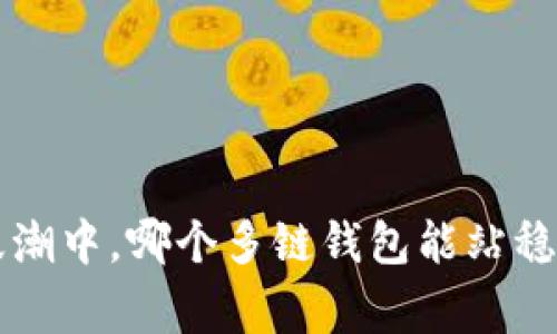 在数字货币的浪潮中，哪个多链钱包能站稳脚跟、赢得信赖？