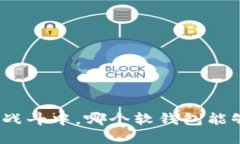 在虚拟币安全的战斗中，哪个软钱包能够让你高