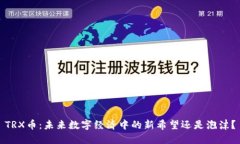 TRX币：未来数字经济中的新希望还是泡沫？