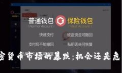 加密货币市场的暴跌：机会还是危机？