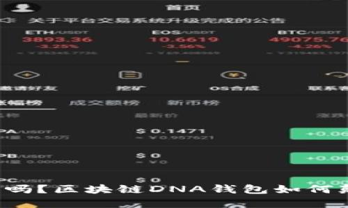 你的数字资产安全吗?区块链DNA钱包如何颠覆传统存储方式!