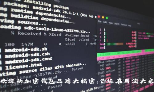 2023年最受欢迎的加密钱包品牌大揭密：你还在用淘大米的老方法吗？