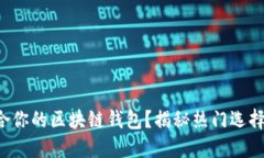 如何选择最适合你的区块链钱包？揭秘热门选择