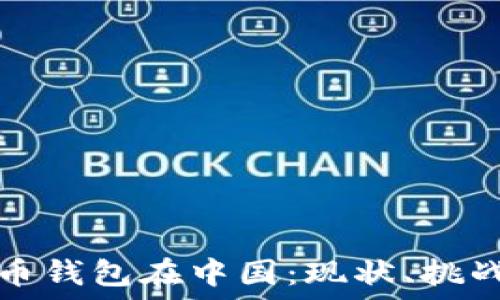   
数字货币钱包在中国：现状、挑战与未来