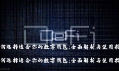 如何选择适合你的数字钱包：全面解析与使用指