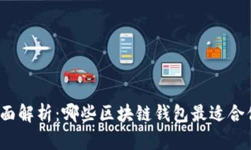 全面解析：哪些区块链钱包最适合你？