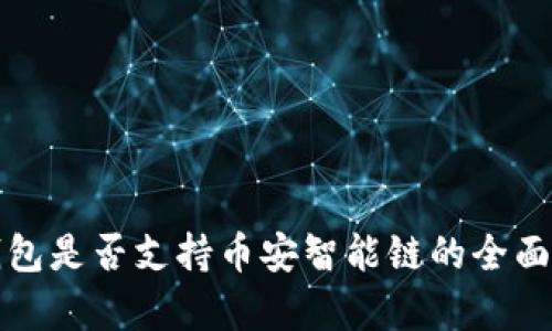 冷钱包是否支持币安智能链的全面解析