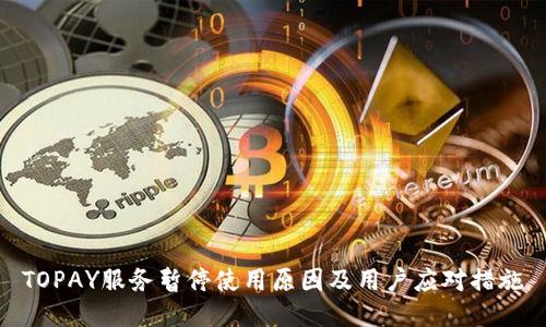 TOPAY服务暂停使用原因及用户应对措施