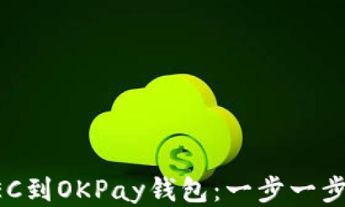 
安装GEC到OKPay钱包：一步一步的指导