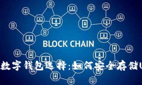 最佳数字钱包选择：如何安全存储USDT