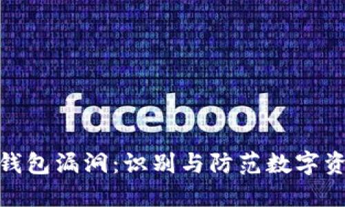 数字货币钱包漏洞：识别与防范数字资产的风险